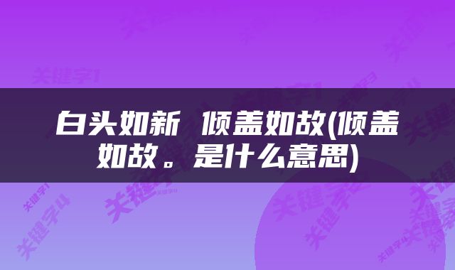 白头如新 倾盖如故(倾盖如故。是什么意思)
