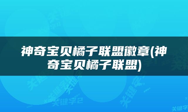 神奇宝贝橘子联盟徽章(神奇宝贝橘子联盟)