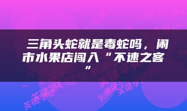  三角头蛇就是毒蛇吗，闹市水果店闯入“不速之客” 