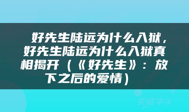  好先生陆远为什么入狱，好先生陆远为什么入狱真相揭开（《好先生》：放下之后的爱情） 