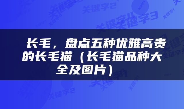  长毛，盘点五种优雅高贵的长毛猫（长毛猫品种大全及图片） 