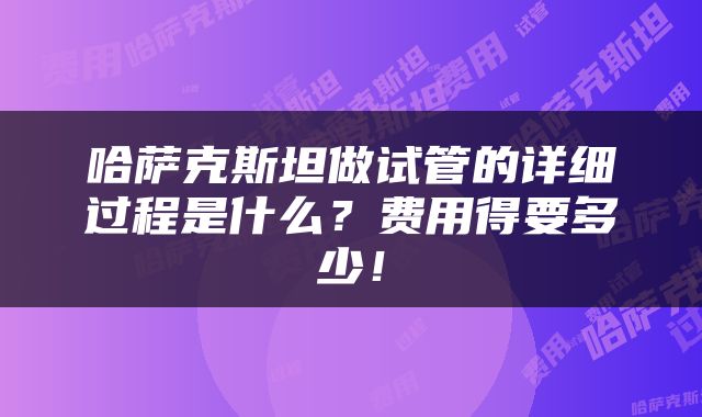哈萨克斯坦做试管的详细过程是什么？费用得要多少！