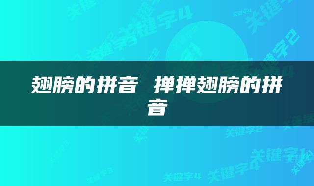 翅膀的拼音 掸掸翅膀的拼音