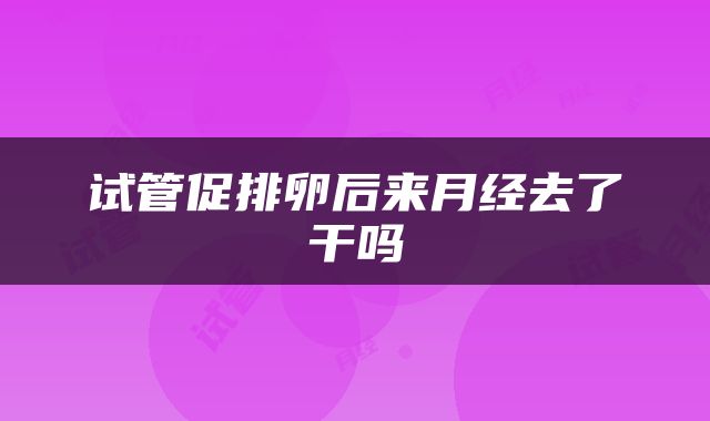 试管促排卵后来月经去了干吗