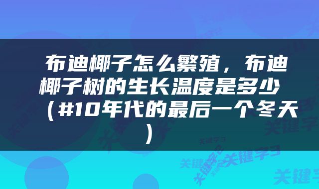  布迪椰子怎么繁殖，布迪椰子树的生长温度是多少（#10年代的最后一个冬天） 