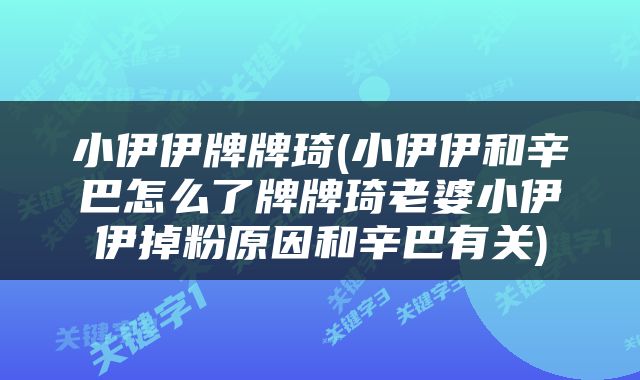小伊伊牌牌琦(小伊伊和辛巴怎么了牌牌琦老婆小伊伊掉粉原因和辛巴有关)