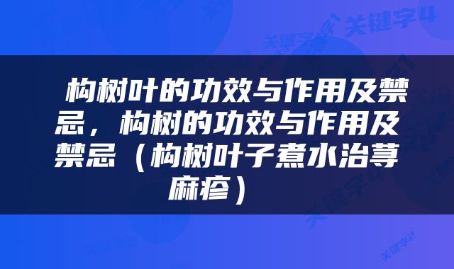  构树叶的功效与作用及禁忌，构树的功效与作用及禁忌（构树叶子煮水治荨麻疹） 