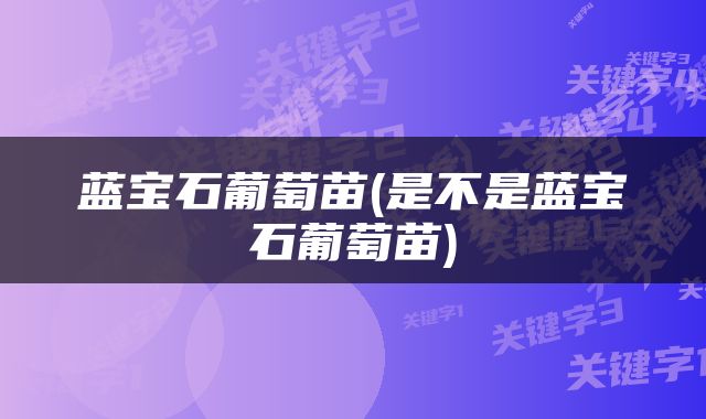 蓝宝石葡萄苗(是不是蓝宝石葡萄苗)