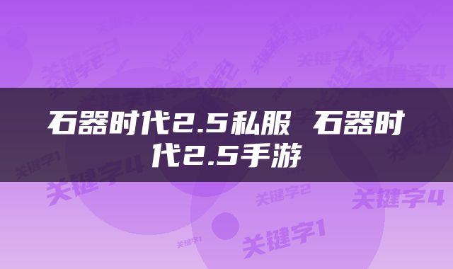 石器时代2.5私服 石器时代2.5手游