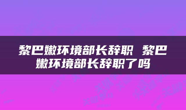 黎巴嫩环境部长辞职 黎巴嫩环境部长辞职了吗