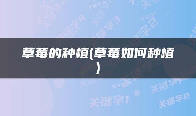 草莓的种植(草莓如何种植)