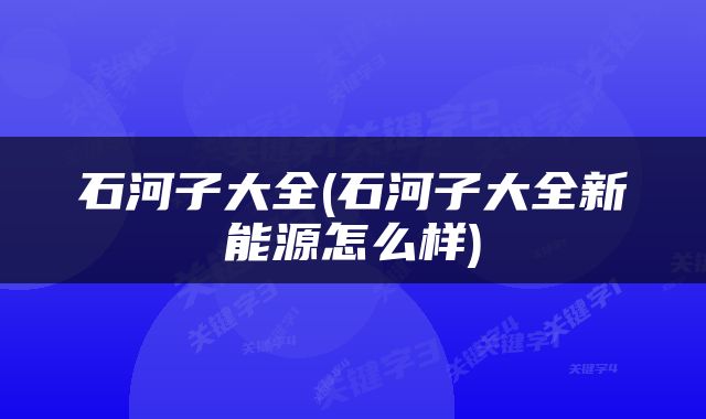 石河子大全(石河子大全新能源怎么样)