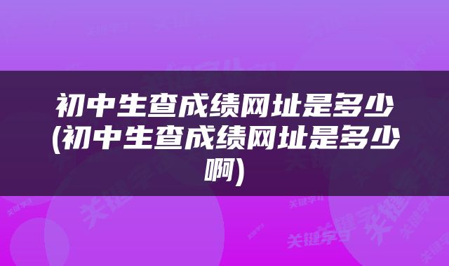 初中生查成绩网址是多少(初中生查成绩网址是多少啊)