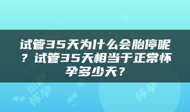 试管35天为什么会胎停呢？试管35天相当于正常怀孕多少天？