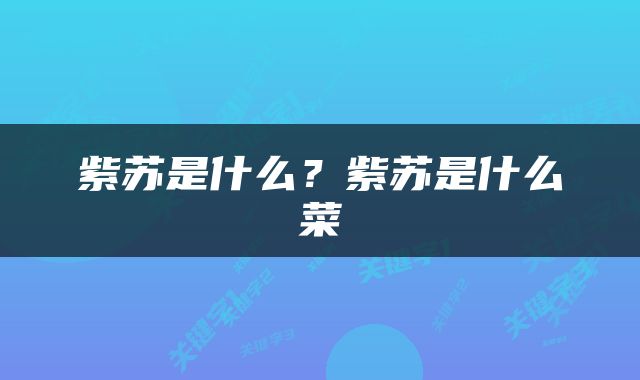 紫苏是什么？紫苏是什么菜