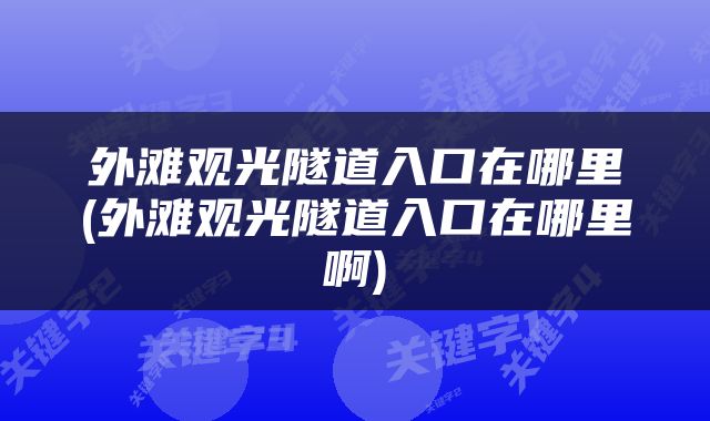 外滩观光隧道入口在哪里(外滩观光隧道入口在哪里啊)
