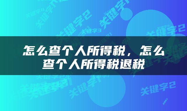 怎么查个人所得税，怎么查个人所得税退税