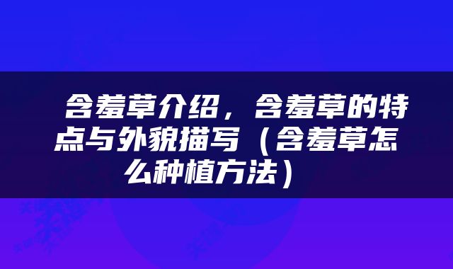  含羞草介绍，含羞草的特点与外貌描写（含羞草怎么种植方法） 