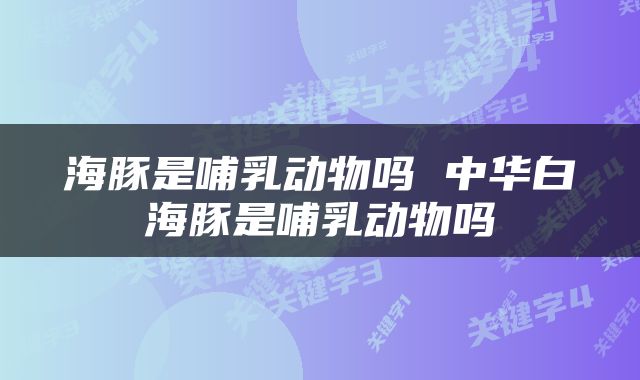 海豚是哺乳动物吗 中华白海豚是哺乳动物吗