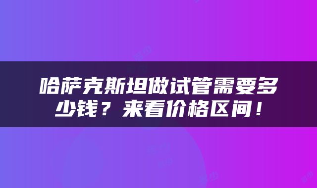 哈萨克斯坦做试管需要多少钱？来看价格区间！
