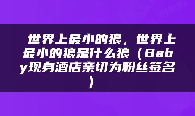  世界上最小的狼，世界上最小的狼是什么狼（Baby现身酒店亲切为粉丝签名） 