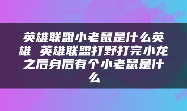 英雄联盟小老鼠是什么英雄 英雄联盟打野打完小龙之后身后有个小老鼠是什么