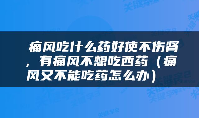  痛风吃什么药好使不伤肾，有痛风不想吃西药（痛风又不能吃药怎么办） 