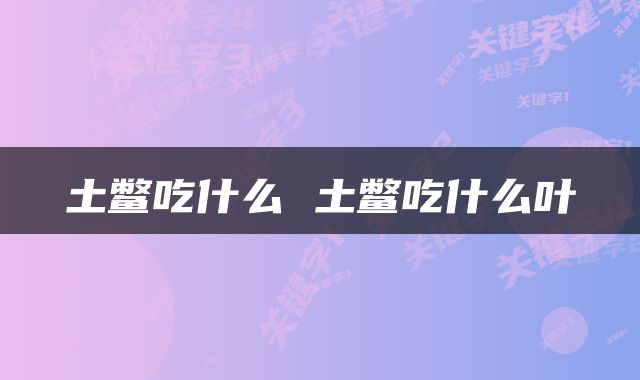 土鳖吃什么 土鳖吃什么叶