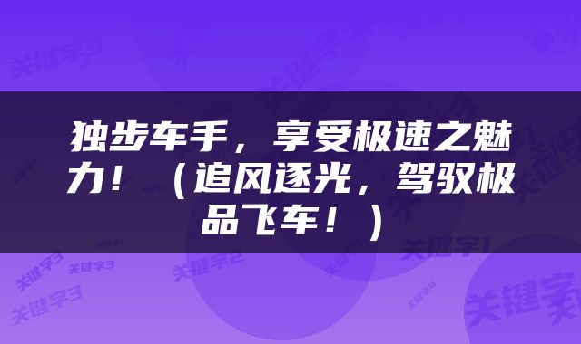 独步车手,享受极速之魅力!(追风逐光,驾驭极品飞车!)