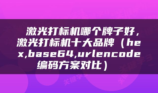  激光打标机哪个牌子好，激光打标机十大品牌（hex,base64,urlencode编码方案对比） 