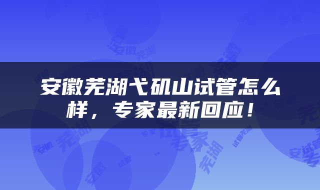 安徽芜湖弋矶山试管怎么样，专家最新回应！