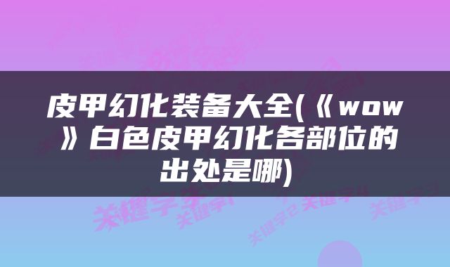皮甲幻化装备大全(《wow》白色皮甲幻化各部位的出处是哪)