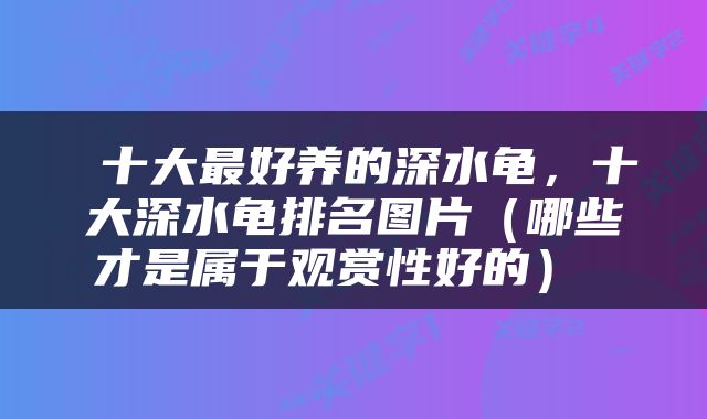  十大最好养的深水龟，十大深水龟排名图片（哪些才是属于观赏性好的） 