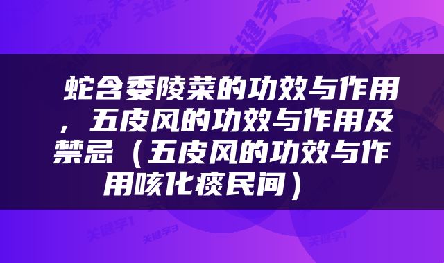  蛇含委陵菜的功效与作用，五皮风的功效与作用及禁忌（五皮风的功效与作用咳化痰民间） 