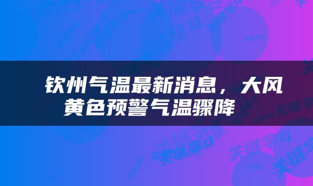  钦州气温最新消息，大风黄色预警气温骤降 