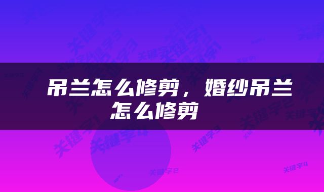  吊兰怎么修剪，婚纱吊兰怎么修剪 
