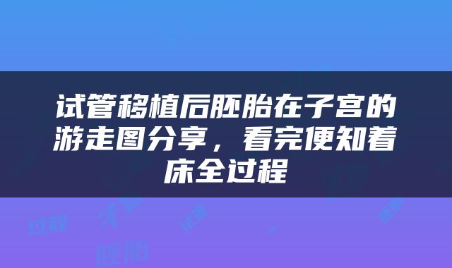 试管移植后胚胎在子宫的游走图分享，看完便知着床全过程