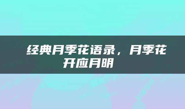  经典月季花语录，月季花开应月明 