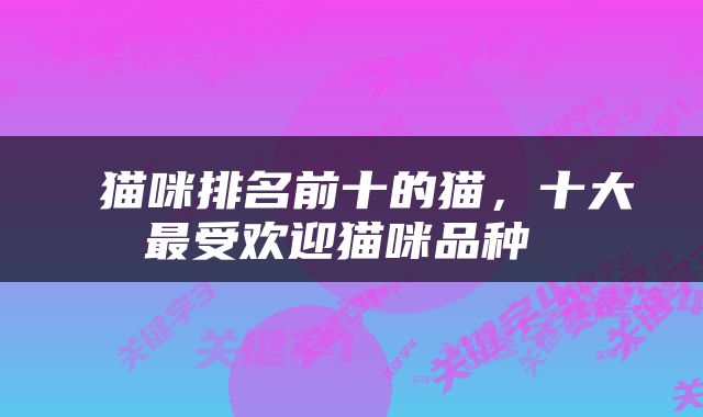  猫咪排名前十的猫，十大最受欢迎猫咪品种 