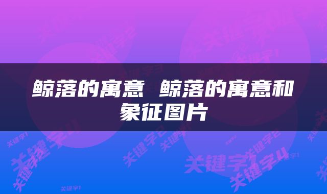 鲸落的寓意 鲸落的寓意和象征图片