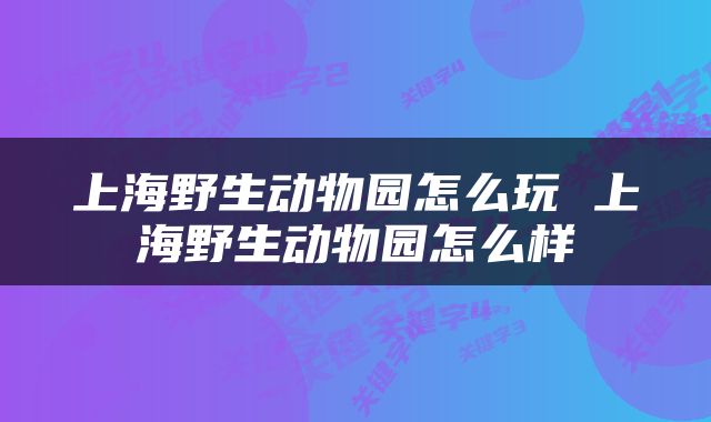 上海野生动物园怎么玩 上海野生动物园怎么样