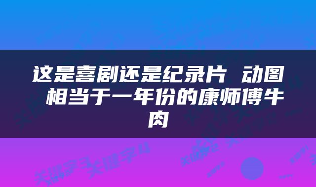 这是喜剧还是纪录片 动图 相当于一年份的康师傅牛肉