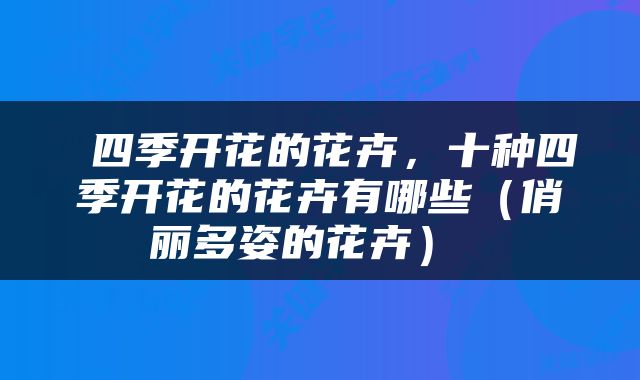  四季开花的花卉，十种四季开花的花卉有哪些（俏丽多姿的花卉） 