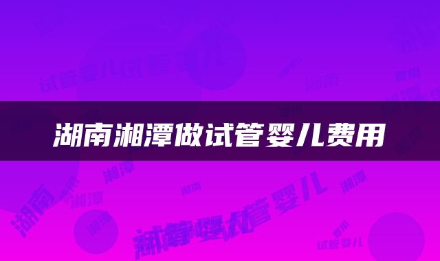 湖南湘潭做试管婴儿费用
