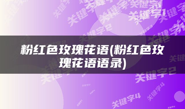 粉红色玫瑰花语(粉红色玫瑰花语语录)