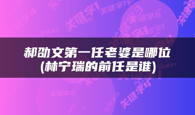 郝劭文第一任老婆是哪位(林宁瑞的前任是谁)