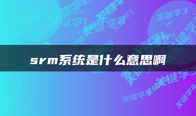 srm系统是什么意思啊