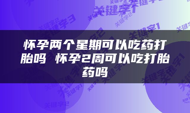 怀孕两个星期可以吃药打胎吗 怀孕2周可以吃打胎药吗