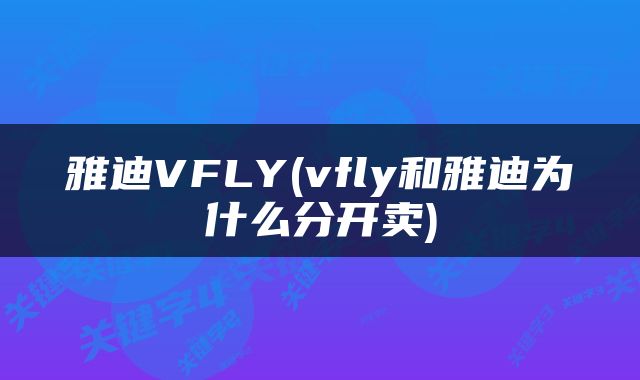 雅迪VFLY(vfly和雅迪为什么分开卖)