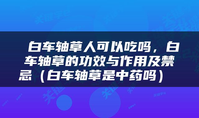  白车轴草人可以吃吗，白车轴草的功效与作用及禁忌（白车轴草是中药吗） 